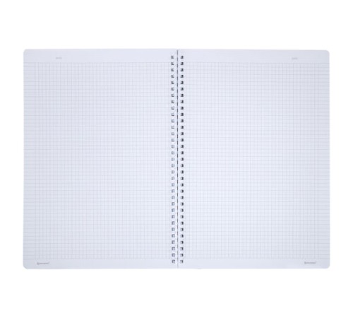 Тетрадь обложка пластик, А4 80 л., гребень мягкий, вырубка для ручки, клетка, BRAUBERG, серый, 405372