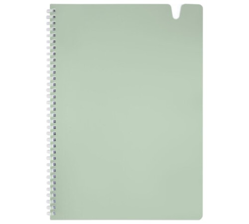 Тетрадь обложка пластик, А4 80 л., гребень мягкий, вырубка для ручки, клетка, BRAUBERG, светло-зеленый, 405373
