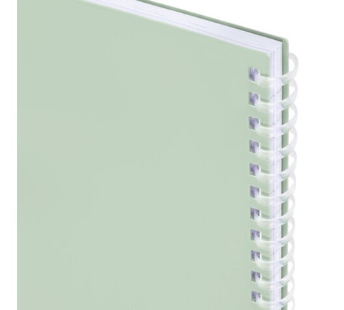 Тетрадь обложка пластик, А4 80 л., гребень мягкий, вырубка для ручки, клетка, BRAUBERG, светло-зеленый, 405373
