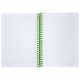 Тетрадь обложка пластик, А5 80 л., спираль пластик, резинка, клетка, BRAUBERG, черный/зеленый, 405387