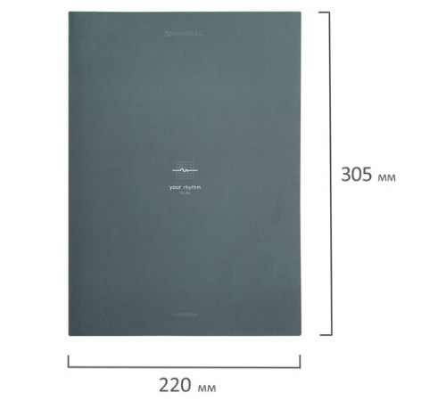 Тетрадь на кольцах БОЛЬШАЯ А4, 215х305 мм, 100 л., твердый картон, клетка, BRAUBERG, 