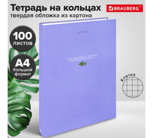 Тетрадь на кольцах БОЛЬШАЯ А4, 215х305 мм, 100 л., твердый картон, клетка, BRAUBERG, 
