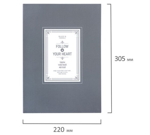 Тетрадь на кольцах БОЛЬШАЯ А4, 215х305 мм, 100 л., твердый картон, клетка, BRAUBERG, 