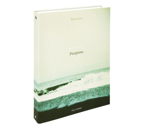 Тетрадь на кольцах БОЛЬШАЯ А4, 215х305 мм, 100 л., твердый картон, клетка, BRAUBERG, 