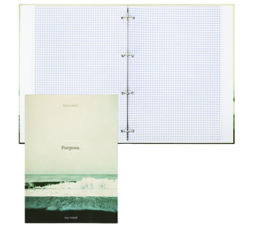 Тетрадь на кольцах БОЛЬШАЯ А4, 215х305 мм, 100 л., твердый картон, клетка, BRAUBERG, 