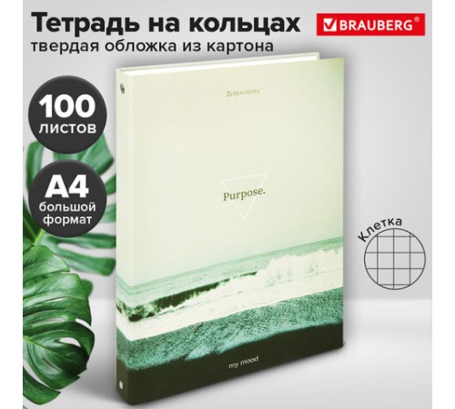 Тетрадь на кольцах БОЛЬШАЯ А4, 215х305 мм, 100 л., твердый картон, клетка, BRAUBERG, 