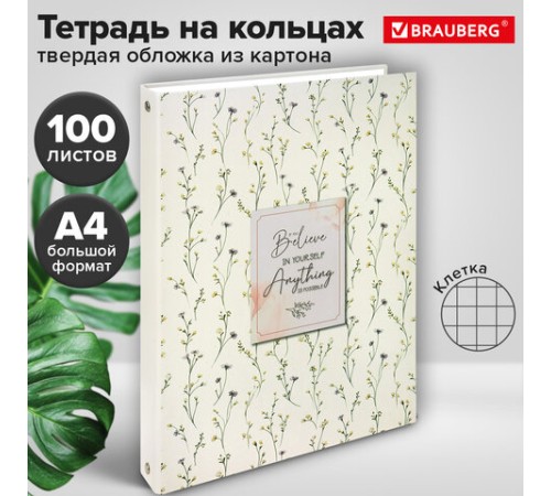 Тетрадь на кольцах БОЛЬШАЯ А4, 215х305 мм, 100 л., твердый картон, клетка, BRAUBERG, 