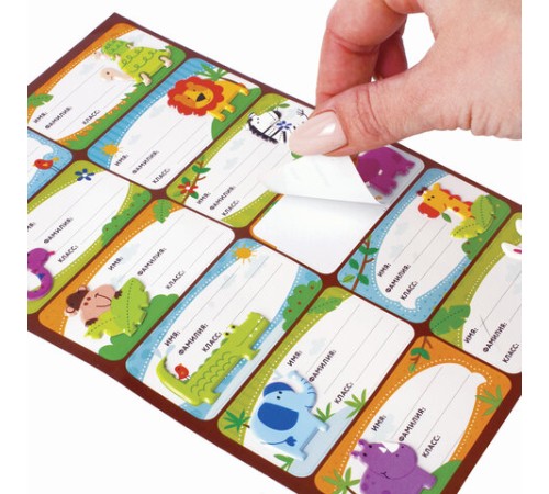 Наклейки для маркировки школьных принадлежностей 