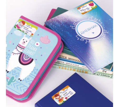 Наклейки для маркировки школьных принадлежностей 