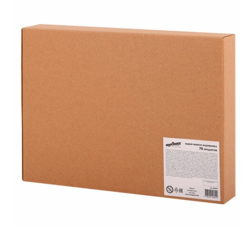 Набор ЮНОГО ХУДОЖНИКА 