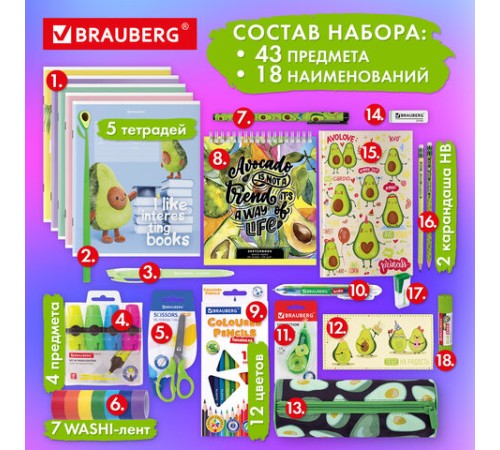 Набор канцелярии подарочный BRAUBERG 