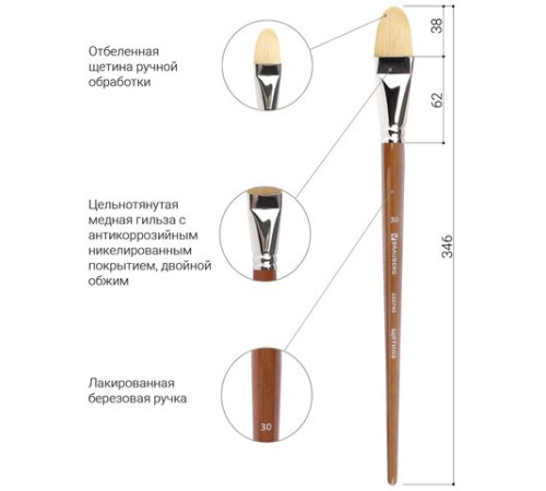 Кисть художественная профессиональная BRAUBERG ART CLASSIC, щетина, овальная, № 30, длинная ручка, 200740