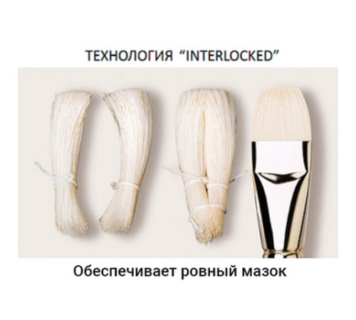 Кисть художественная профессиональная BRAUBERG ART CLASSIC, щетина, овальная, № 30, длинная ручка, 200740