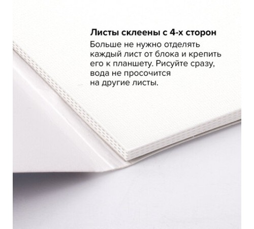 Папка для акварели/планшет, 300 г/м2, 270х390 мм, склейка, мелкое зерно, 20 л., BRAUBERG ART PREMIERE, 113249