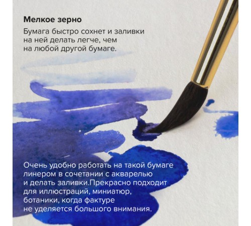 Папка для акварели/планшет, 300 г/м2, 270х390 мм, склейка, мелкое зерно, 20 л., BRAUBERG ART PREMIERE, 113249