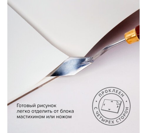 Папка для акварели/планшет, 300 г/м2, 270х390 мм, склейка, мелкое зерно, 20 л., BRAUBERG ART PREMIERE, 113249