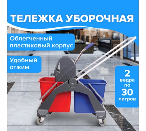 Тележка уборочная BRABIX, 2 съемных ведра 30 л, механический отжим, пластиковый каркас, фиксирующаяся ручка, 606661