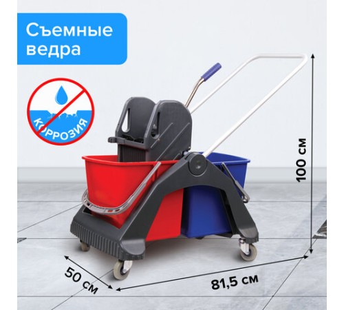 Тележка уборочная BRABIX, 2 съемных ведра 30 л, механический отжим, пластиковый каркас, фиксирующаяся ручка, 606661