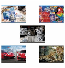 Альбом для рисования А4 48 л., скоба, обложка картон, HATBER, 205х290 мм, Ассорти, 062541, 48А4В