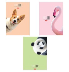 Тетрадь А4 96 л. HATBER скоба, клетка, матовая ламинация, 