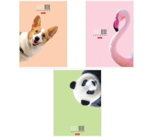 Тетрадь А4 96 л. HATBER скоба, клетка, матовая ламинация, 