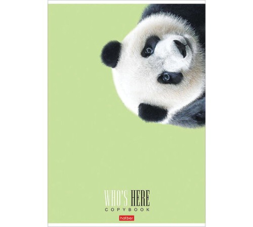 Тетрадь А4 96 л. HATBER скоба, клетка, матовая ламинация, 