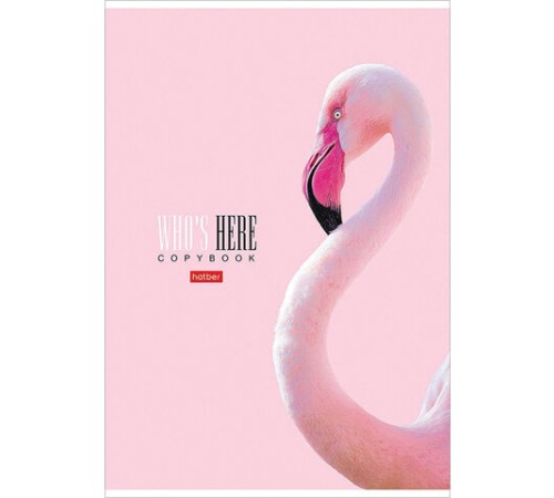 Тетрадь А4 96 л. HATBER скоба, клетка, матовая ламинация, 