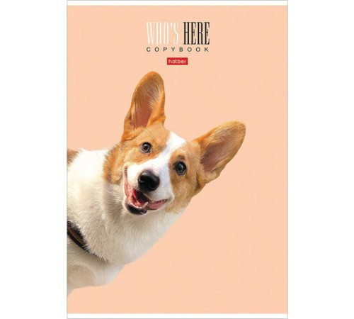 Тетрадь А4 96 л. HATBER скоба, клетка, матовая ламинация, 