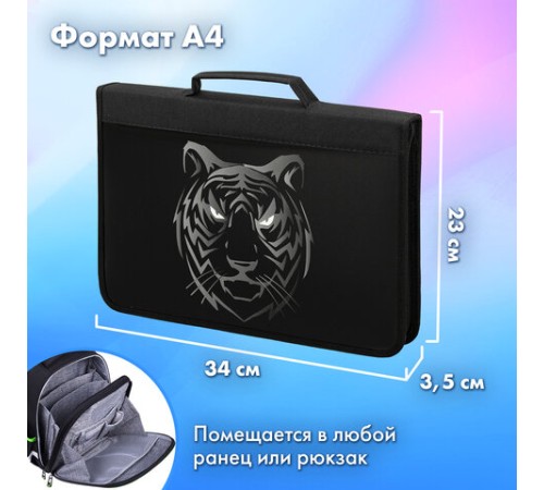 Папка на молнии BRAUBERG А4 с ручкой, с органайзером, 1 отделение, 