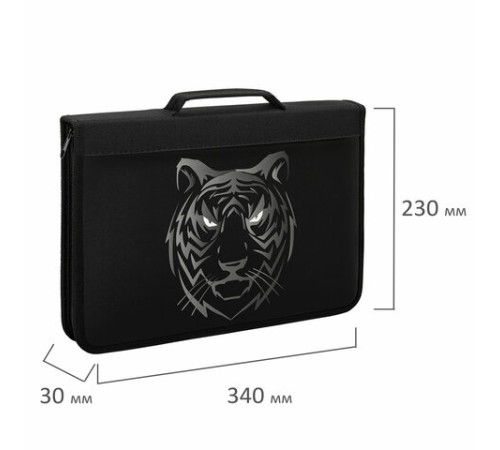 Папка на молнии BRAUBERG А4 с ручкой, с органайзером, 1 отделение, 