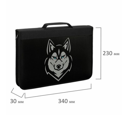 Папка на молнии BRAUBERG А4 с ручкой, с органайзером, 1 отделение, 