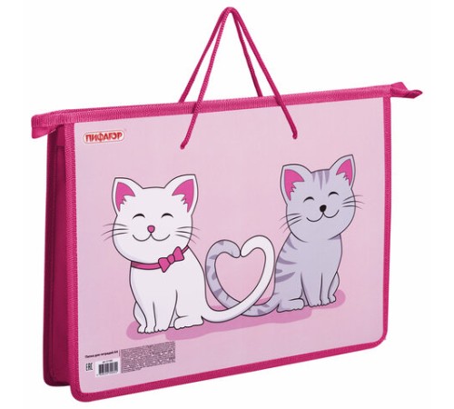 Папка на молнии с ручками ПИФАГОР А4, 1 отделение, пластик, ручки-шнурок, 