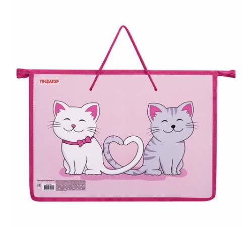 Папка на молнии с ручками ПИФАГОР А4, 1 отделение, пластик, ручки-шнурок, 