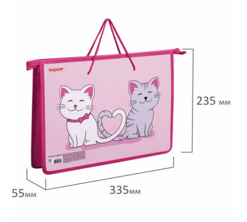 Папка на молнии с ручками ПИФАГОР А4, 1 отделение, пластик, ручки-шнурок, 