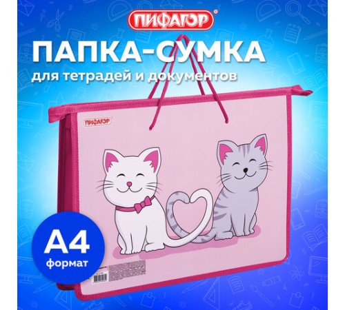 Папка на молнии с ручками ПИФАГОР А4, 1 отделение, пластик, ручки-шнурок, 