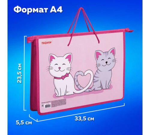 Папка на молнии с ручками ПИФАГОР А4, 1 отделение, пластик, ручки-шнурок, 