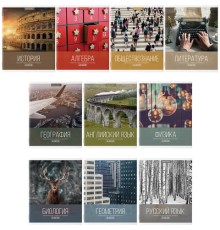 Тетради предметные, КОМПЛЕКТ 10 ПРЕДМЕТОВ, 48 л., обложка картон, BRAUBERG, 