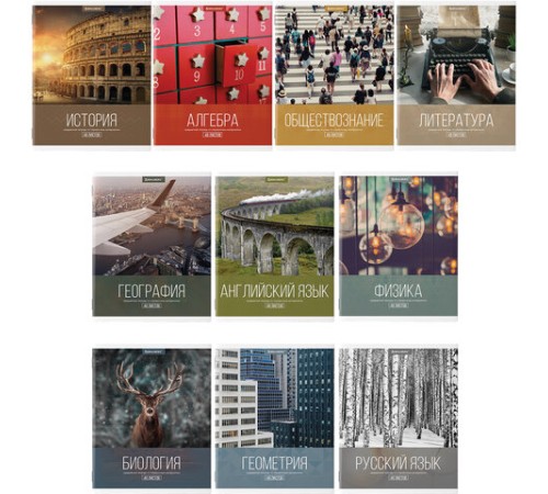 Тетради предметные, КОМПЛЕКТ 10 ПРЕДМЕТОВ, 48 л., обложка картон, BRAUBERG, 