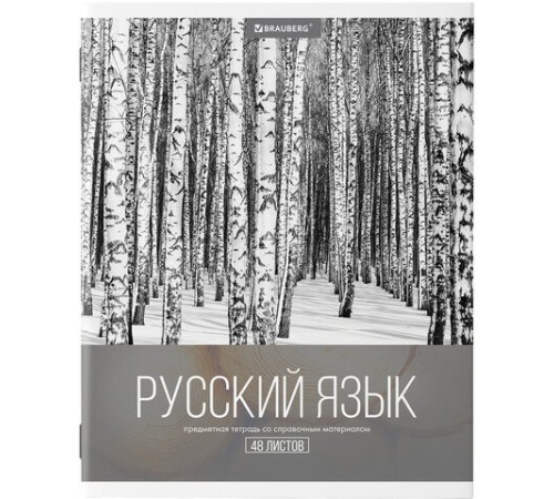 Тетради предметные, КОМПЛЕКТ 10 ПРЕДМЕТОВ, 48 л., обложка картон, BRAUBERG, 