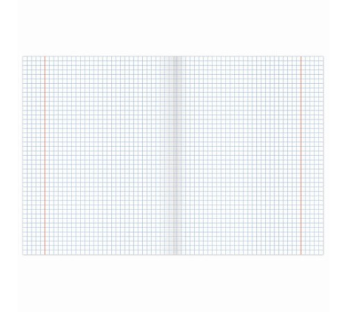 Тетради предметные, КОМПЛЕКТ 10 ПРЕДМЕТОВ, 48 л., обложка картон, BRAUBERG, 