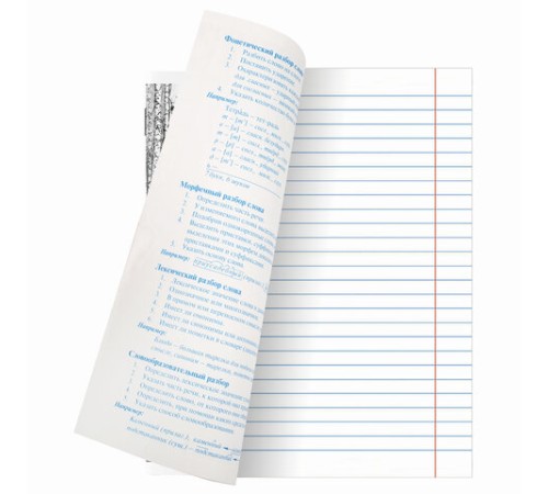 Тетради предметные, КОМПЛЕКТ 10 ПРЕДМЕТОВ, 48 л., обложка картон, BRAUBERG, 