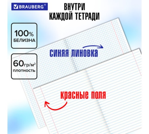 Тетради предметные, КОМПЛЕКТ 10 ПРЕДМЕТОВ, 48 л., обложка картон, BRAUBERG, 
