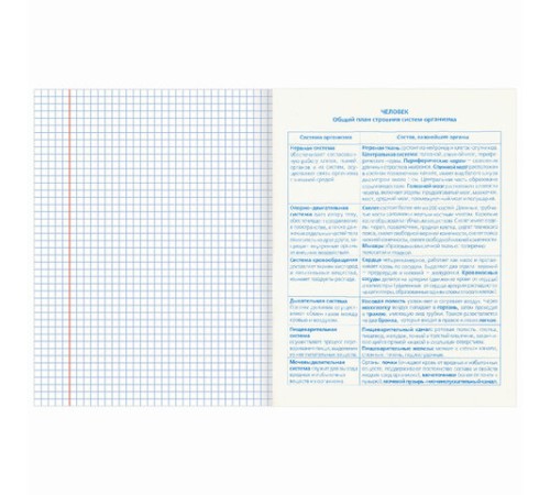 Тетради предметные, КОМПЛЕКТ 10 ПРЕДМЕТОВ, 48 л., обложка картон, BRAUBERG, 