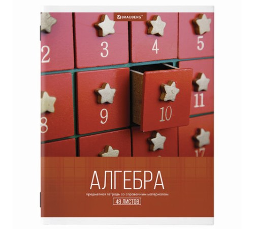 Тетради предметные, КОМПЛЕКТ 10 ПРЕДМЕТОВ, 48 л., обложка картон, BRAUBERG, 