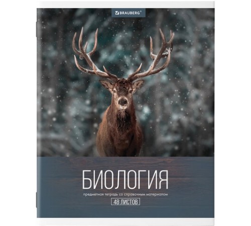 Тетради предметные, КОМПЛЕКТ 10 ПРЕДМЕТОВ, 48 л., обложка картон, BRAUBERG, 