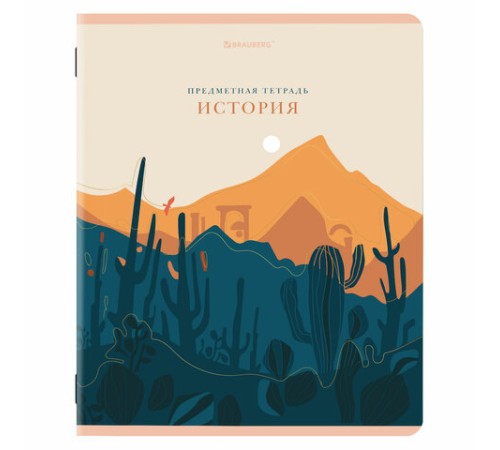 Тетради предметные, КОМПЛЕКТ 12 ПРЕДМЕТОВ, 48 л., SoftTouch, фольга, BRAUBERG, 
