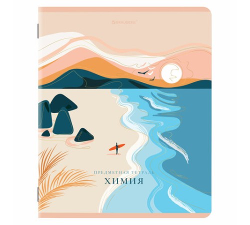 Тетради предметные, КОМПЛЕКТ 12 ПРЕДМЕТОВ, 48 л., SoftTouch, фольга, BRAUBERG, 