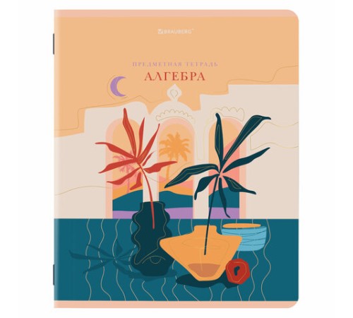 Тетради предметные, КОМПЛЕКТ 12 ПРЕДМЕТОВ, 48 л., SoftTouch, фольга, BRAUBERG, 