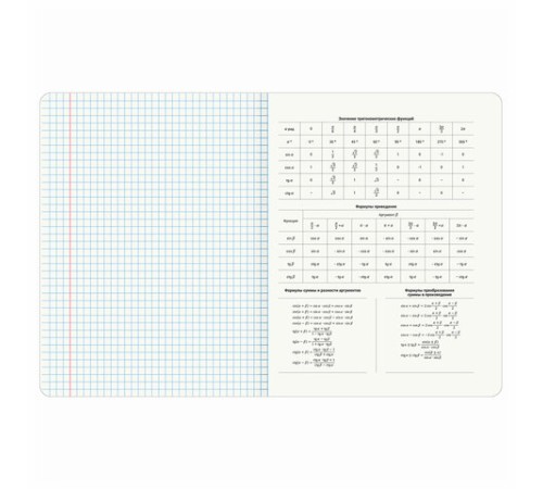 Тетради предметные, КОМПЛЕКТ 12 ПРЕДМЕТОВ, 48 л., SoftTouch, фольга, BRAUBERG, 