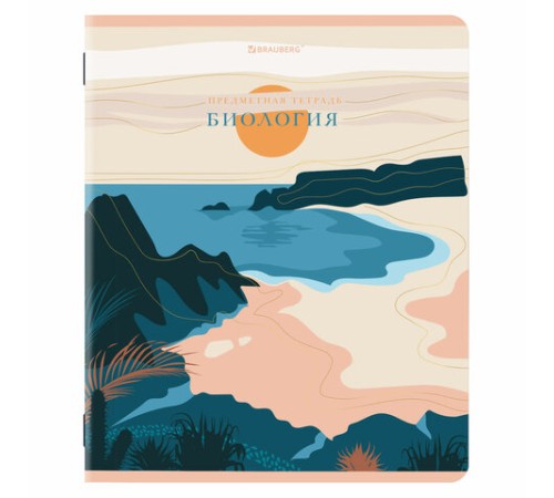 Тетради предметные, КОМПЛЕКТ 12 ПРЕДМЕТОВ, 48 л., SoftTouch, фольга, BRAUBERG, 